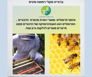 איך מפיקים propolis מכוורת הדבורים ולמה זה משמש