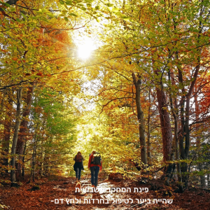 טיוך ביער תמונה עבור מאמר בבלוג שלי