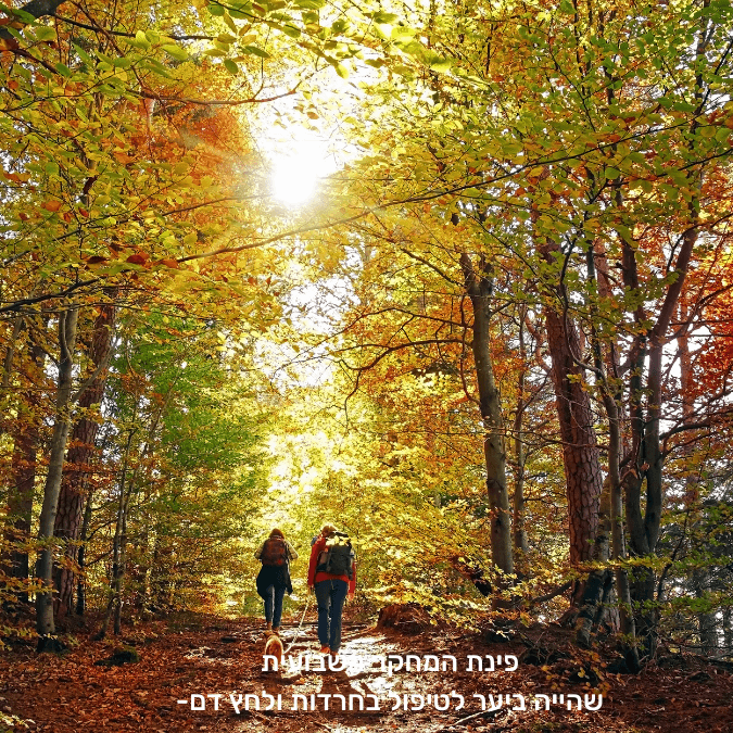 שהייה ביער לשיפור מדדי לחץ דם, מצב רוח, וסטרס