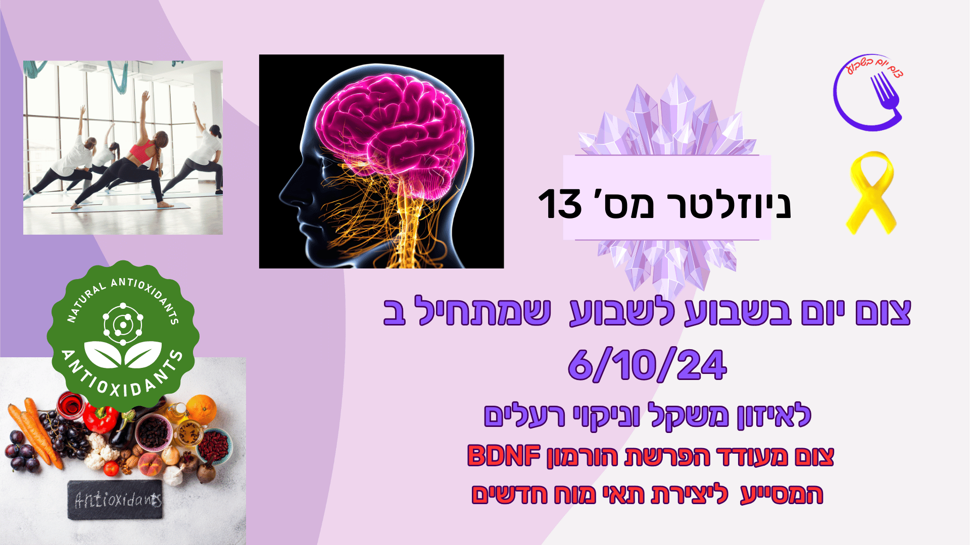 ניוזלטר 13-צום אחת לשבוע מחדד מחשבה מונע דיכאון