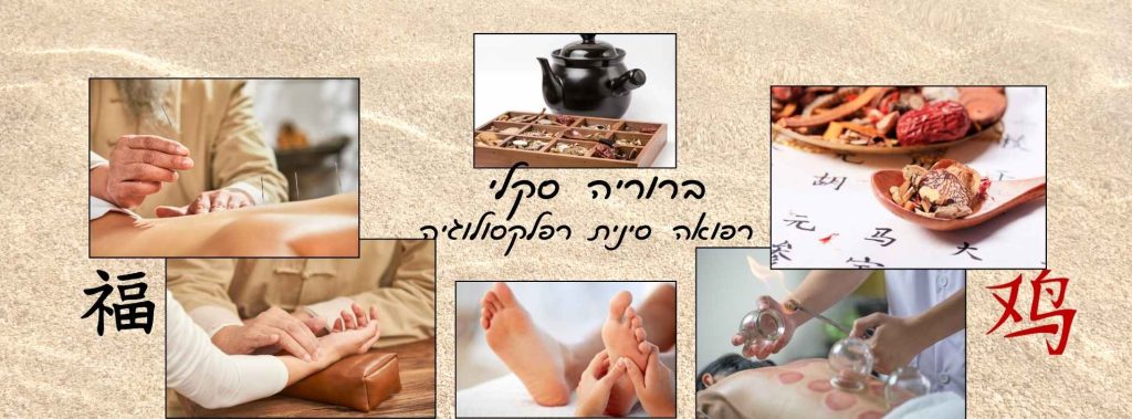 תמונה לדף הראשי באתר של ברוריה סקלי